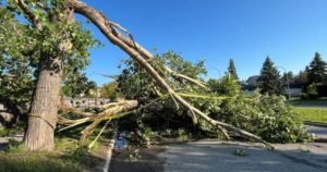 Tornado confirmed in Winnipeg neighbourhood: Environment Canada
