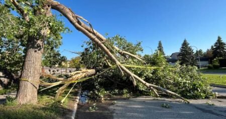 Tornado confirmed in Winnipeg neighbourhood: Environment Canada Tornado confirmed in Winnipeg neighbourhood: Environment Canada
