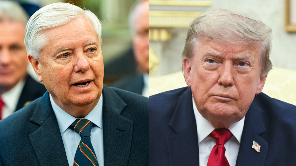 Trump says Lindsey Graham’s heart condition was ‘almost undetectable,’ questions FBI’s role in probe