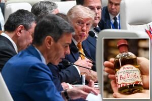 Here’s why Trump threatened to cut off trade with Spain — and which goods could become hard to get in the US Here’s why Trump threatened to cut off trade with Spain — and which goods could become hard to get in the US