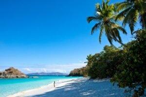 US beach named best in the world for its pristine sands and clear waters US beach named best in the world for its pristine sands and clear waters
