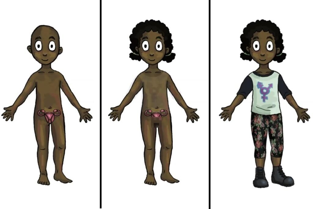 Taxpayer-funded trans dolls — with removable genitalia — to hit classrooms this fall for kids as young as 4 Taxpayer-funded trans dolls — with removable genitalia — to hit classrooms this fall for kids as young as 4