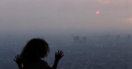 Wildfire smoke could impact your brain health. Here’s how Wildfire smoke could impact your brain health. Here’s how