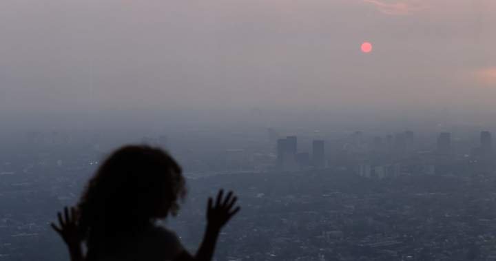 Wildfire smoke could impact your brain health. Here’s how Wildfire smoke could impact your brain health. Here’s how