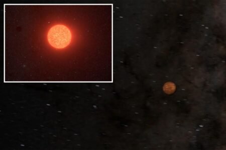 Astronomers discover Earth’s new ‘next-door neighbor’ — a potentially habitable planet Astronomers discover Earth’s new ‘next-door neighbor’ — a potentially habitable planet