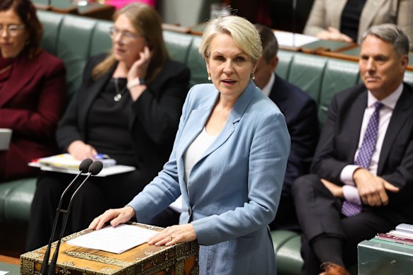 Social Services Minister Tanya Plibersek.