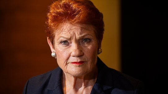 One Nation leader Pauline Hanson wants to drastically cut migration - but what would that actually mean?