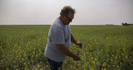 Saskatchewan senator, farmer Todd Lewis dies at 65