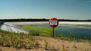 Extreme heat: Half of Europe’s population exposed to heatwave