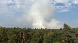 Forest fire spreads in southern Netherlands nature reserve Forest fire spreads in southern Netherlands nature reserve