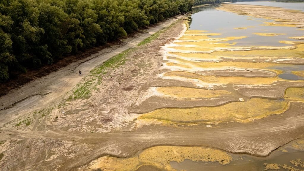 Fossils and a shipwreck unveiled along Danube following drought Fossils and a shipwreck unveiled along Danube following drought