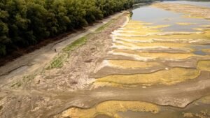 Fossils and a shipwreck unveiled along Danube following drought