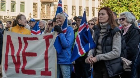 Iceland votes ‘No’ to reopening EU accession talks, officials confirm Iceland votes ‘No’ to reopening EU accession talks, officials confirm