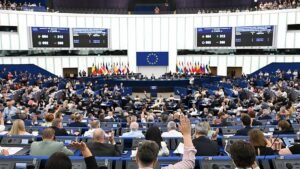 Why MEPs speak to TikTok instead of Parliament Why MEPs speak to TikTok instead of Parliament
