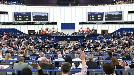 Why MEPs speak to TikTok instead of Parliament
