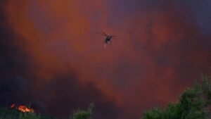 Why the EU is betting on prevention in its new wildfire strategy Why the EU is betting on prevention in its new wildfire strategy