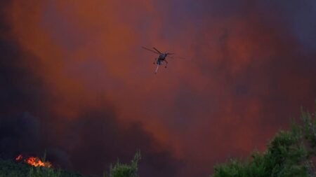 Why the EU is betting on prevention in its new wildfire strategy