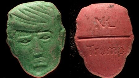 Dutch centre warns about potentially lethal Trump-shaped ecstasy pills Dutch centre warns about potentially lethal Trump-shaped ecstasy pills