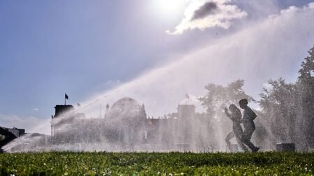 Germany reports record 14,000 heat-related deaths this summer Germany reports record 14,000 heat-related deaths this summer