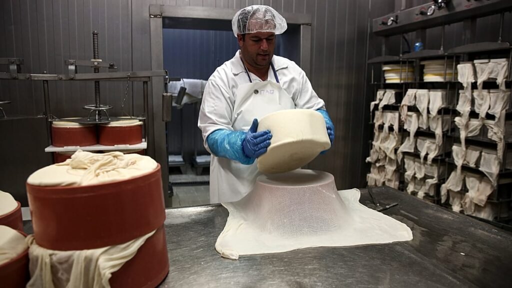 Foot-and-mouth disease: Lesvos cheese ban lifted amid tourist season Foot-and-mouth disease: Lesvos cheese ban lifted amid tourist season