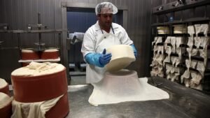 Foot-and-mouth disease: Lesvos cheese ban lifted amid tourist season