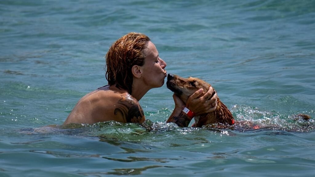 Dog-friendly beaches in Spain: Where to swim with your pet this summer Dog-friendly beaches in Spain: Where to swim with your pet this summer