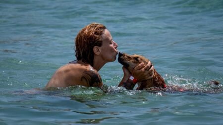 Dog-friendly beaches in Spain: Where to swim with your pet this summer