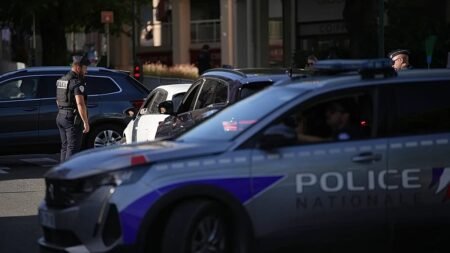 Russian driver arrested after two killed in France car ramming Russian driver arrested after two killed in France car ramming
