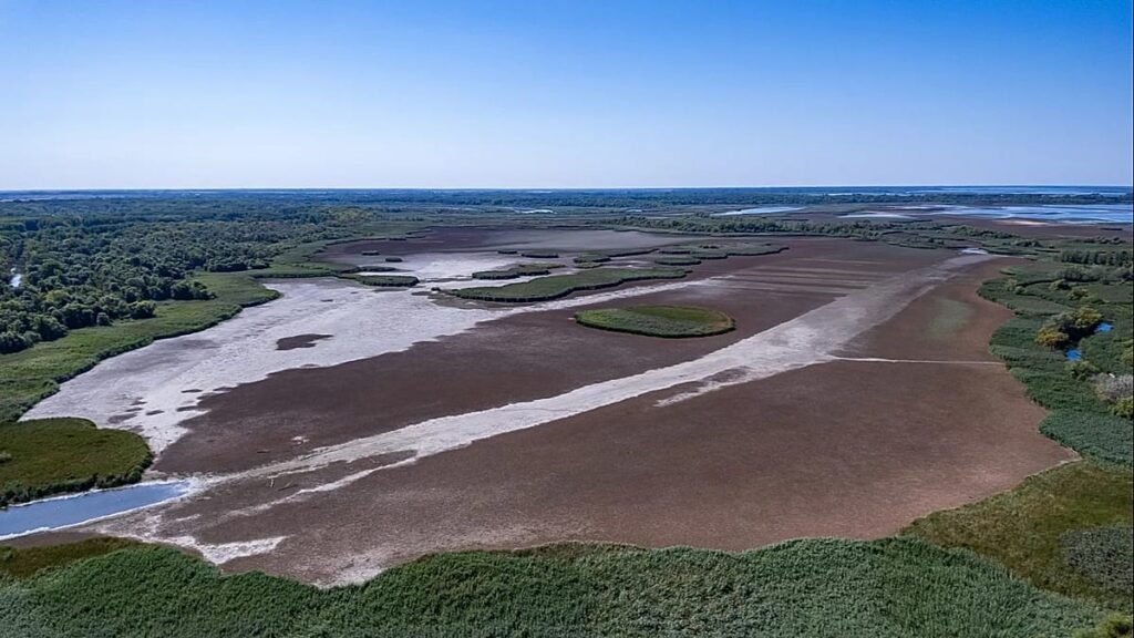 EU’s wildfire summer puts spotlight on EU nature restoration plans