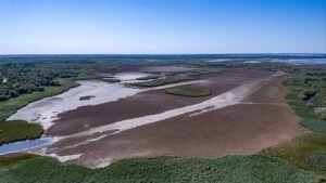 EU’s wildfire summer puts spotlight on EU nature restoration plans EU’s wildfire summer puts spotlight on EU nature restoration plans