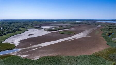 EU’s wildfire summer puts spotlight on EU nature restoration plans EU’s wildfire summer puts spotlight on EU nature restoration plans