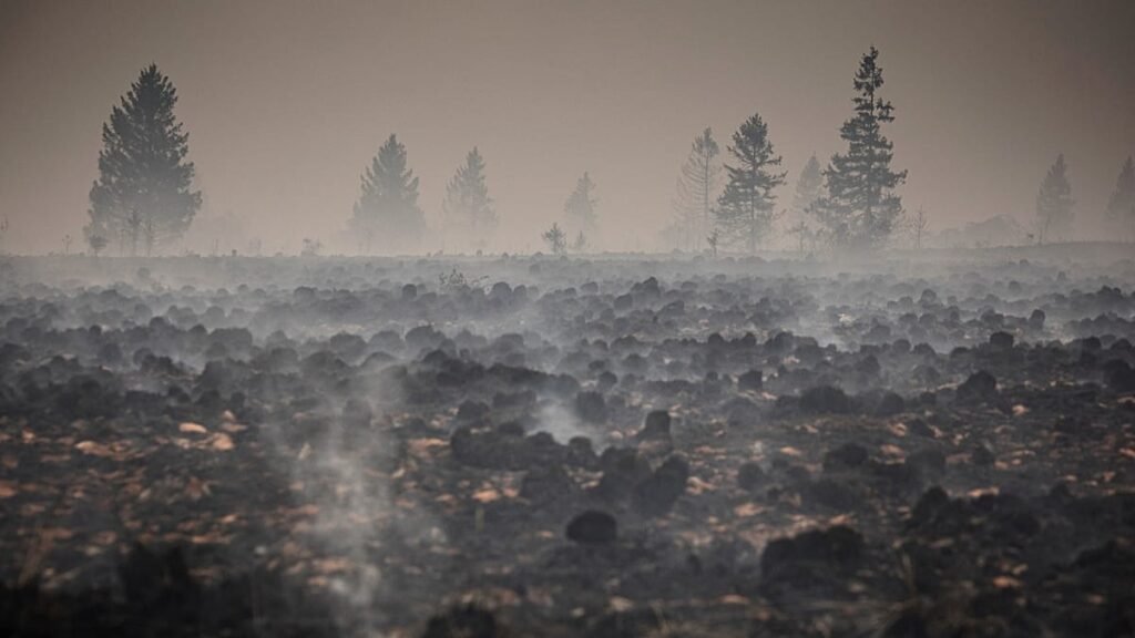 Firefighters pushing to ‘definitively encircle’ Belgium wildfire Firefighters pushing to ‘definitively encircle’ Belgium wildfire