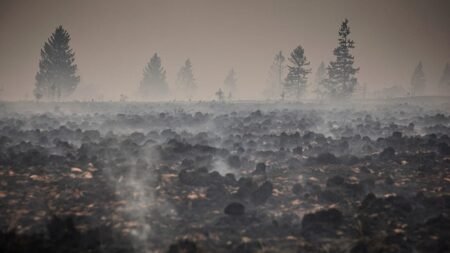 Firefighters pushing to ‘definitively encircle’ Belgium wildfire Firefighters pushing to ‘definitively encircle’ Belgium wildfire