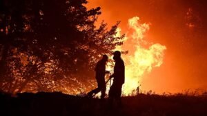 What should the EU prioritise to tackle wildfires? Take our poll What should the EU prioritise to tackle wildfires? Take our poll