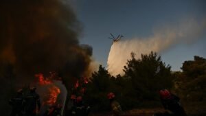 People evacuated from beach as wildfire tears through north Greece People evacuated from beach as wildfire tears through north Greece