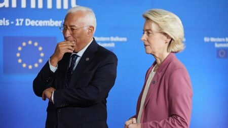 EU offers muted reaction after Iceland rebuffs accession talks