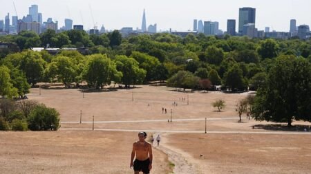 UK on course for ‘warmest summer on record’ UK on course for ‘warmest summer on record’
