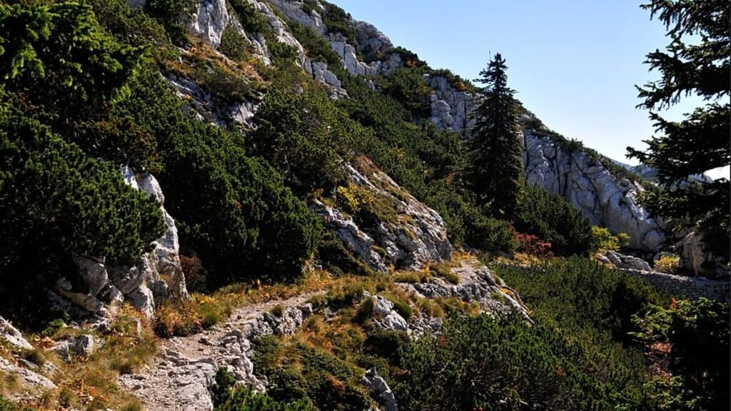 Winding trails and coastal treks: Europe’s best hikes for autumn