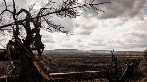 Extreme weather hits Europe as wildfires, floods and storms Extreme weather hits Europe as wildfires, floods and storms