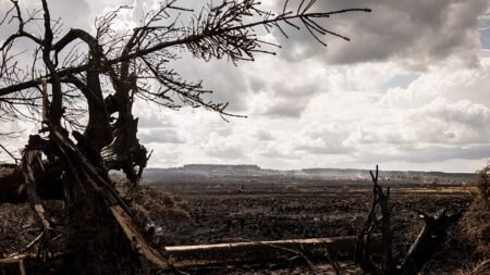 Extreme weather hits Europe as wildfires, floods and storms Extreme weather hits Europe as wildfires, floods and storms