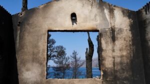 Residents in Greece survey damage left by fires near Athens Residents in Greece survey damage left by fires near Athens