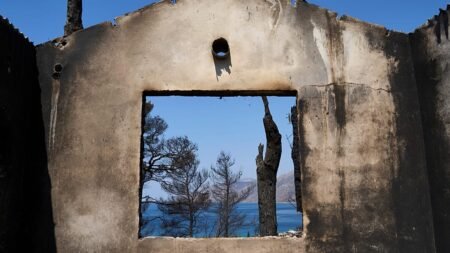 Residents in Greece survey damage left by fires near Athens Residents in Greece survey damage left by fires near Athens