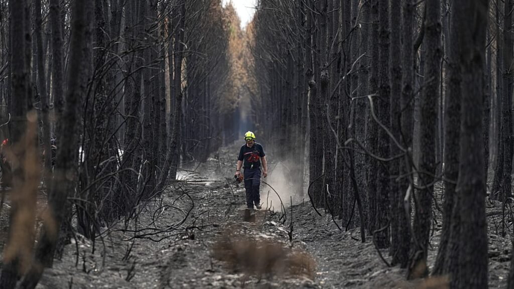 Europe’s wildfires update: Greece still battling, outbreaks in Spain Europe’s wildfires update: Greece still battling, outbreaks in Spain