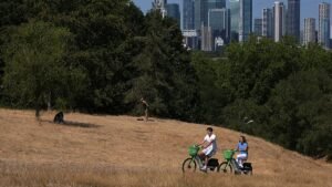 Europe facing strain on resources and services due to heatwaves