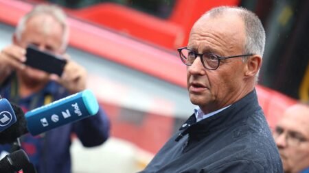 Merz visits Hürtgen Forest fire site, met with boos and whistles