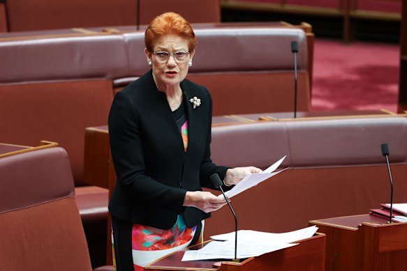 One Nation leader Pauline Hanson in the Senate.