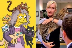 ‘Crazy cat ladies’ are real: Study reveals differences in how men and women bond with pets ‘Crazy cat ladies’ are real: Study reveals differences in how men and women bond with pets