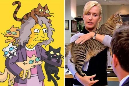 ‘Crazy cat ladies’ are real: Study reveals differences in how men and women bond with pets