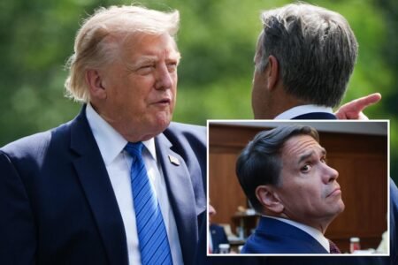 Trump reveals plan to keep Todd Blanche — even if lame duck GOP senators refuse to confirm nomination Trump reveals plan to keep Todd Blanche — even if lame duck GOP senators refuse to confirm nomination