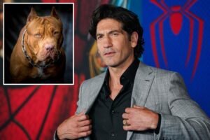 ‘Punisher’ star Jon Bernthal says pit bulls are victims of ‘dog racism’: ‘A lot of bulls–t’ ‘Punisher’ star Jon Bernthal says pit bulls are victims of ‘dog racism’: ‘A lot of bulls–t’